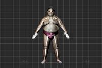 Sumo Wrestler A