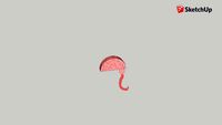 cerebro