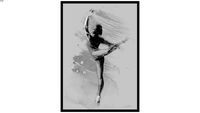 Quadro Bailarina