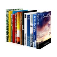 Books Set 05 3D Model