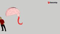 cerebro