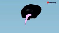 cerebro