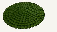 tapete pompom