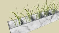 experimental plants pot