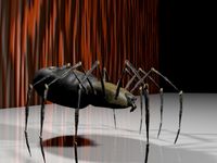 Spider New with bones 3D Model