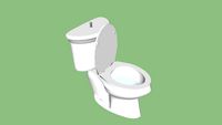 wc duduk