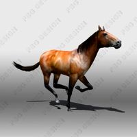 Horse 3D Model