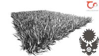 Shag Rug