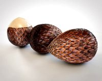 salak fruit