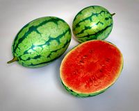 watermelon fruit