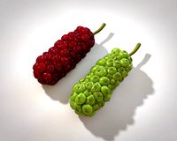 miracle fruit