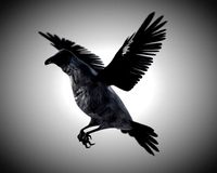 raven crow bird pbr rigged low poly
