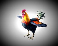rooster cock bird pbr rigged low poly