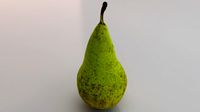 Photorealistic Pear
