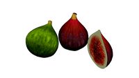 fig