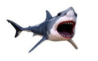 great white shark high poly