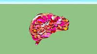 Cerebro