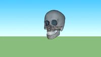 tete de mort verre - skull glass