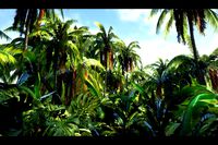 Jungle palms forest biome