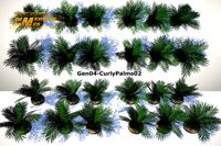 BushGen04-CurlyPalm02