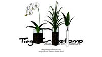 plantas+internas