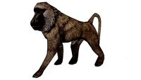 60453 Deco Figurine Walking Baboon XL