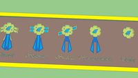 Rank (honor, medal)
