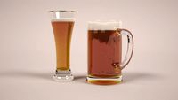 Bier 3D Model