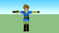 BOTW - Link
