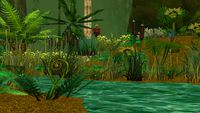 rainforest 2