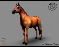 Arabian Horse 3D Model