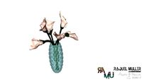 海芋 arum