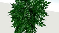 AAAA
