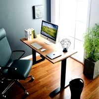 Adjustable Motion Desk