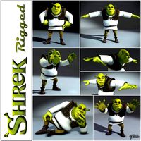 Shrek rigged 10