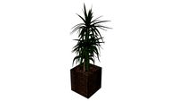 Cachepot 1