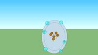 bohr project