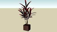 maison1-plante pot