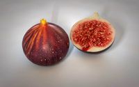 fig