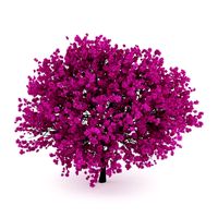 CGAxis Judas Tree 3D Model