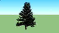 arbre 3 - tree 3