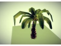 Low poly palm 3D Model