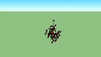 kelp