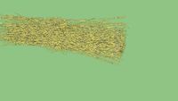 Straw Saman Natural