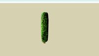 arbre bilbord vegetation tree