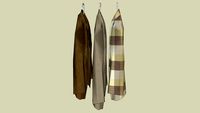 CAMISAS NO CABIDE