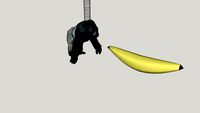 HARAMBE WITH BIG BANNANA