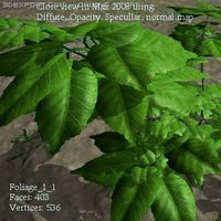 Download free Forest Foliage 1 3D Model