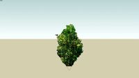 arbuste haie bilborde vegetation