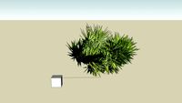arbuste bilborde vegetation